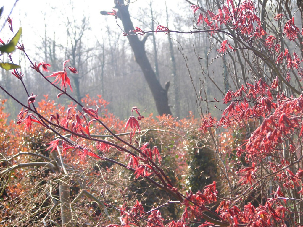 DSC05508