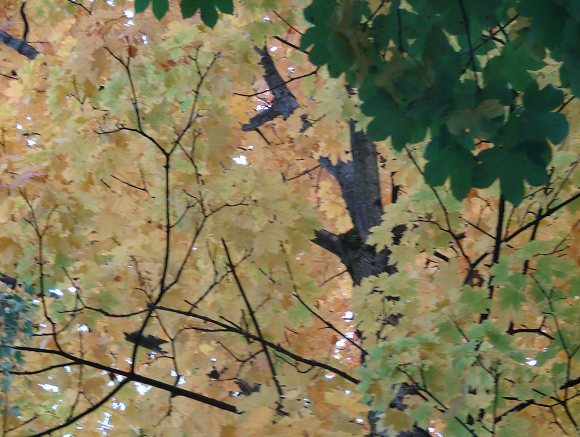 DSC05870