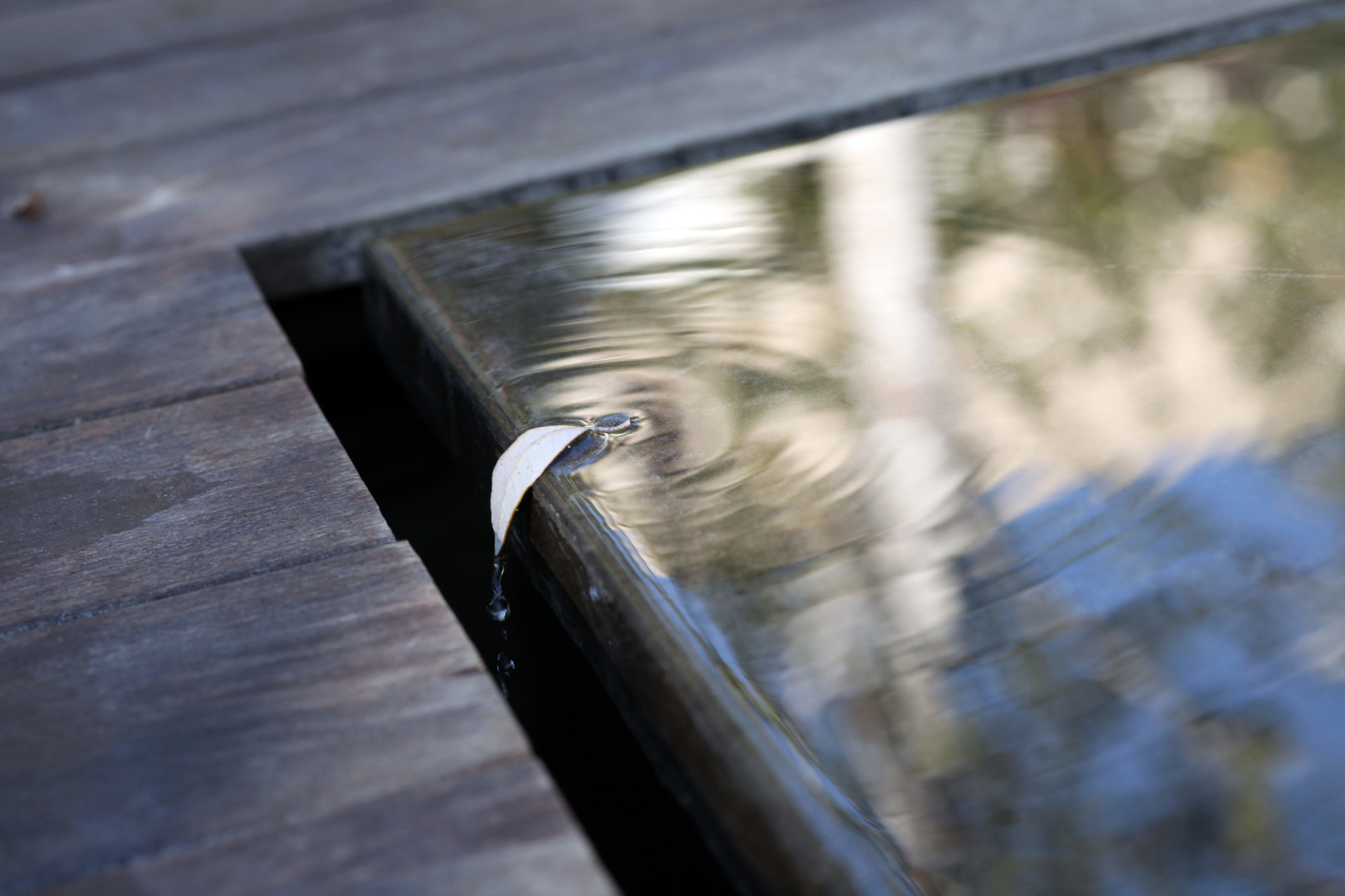 water_bg